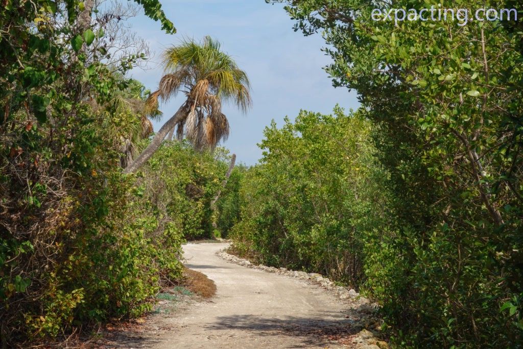 Best Trails and Hikes in Bradenton, Florida preview