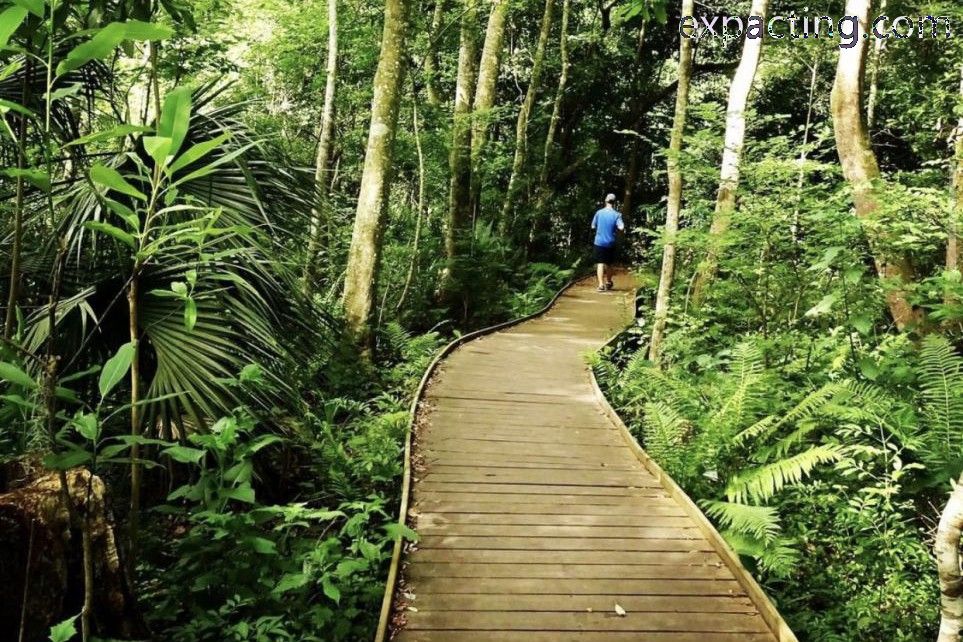 Best Trails and Hikes in Jacksonville, Florida preview