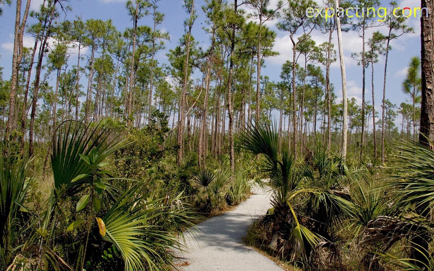 Best Trails and Hikes in Miami, Florida preview