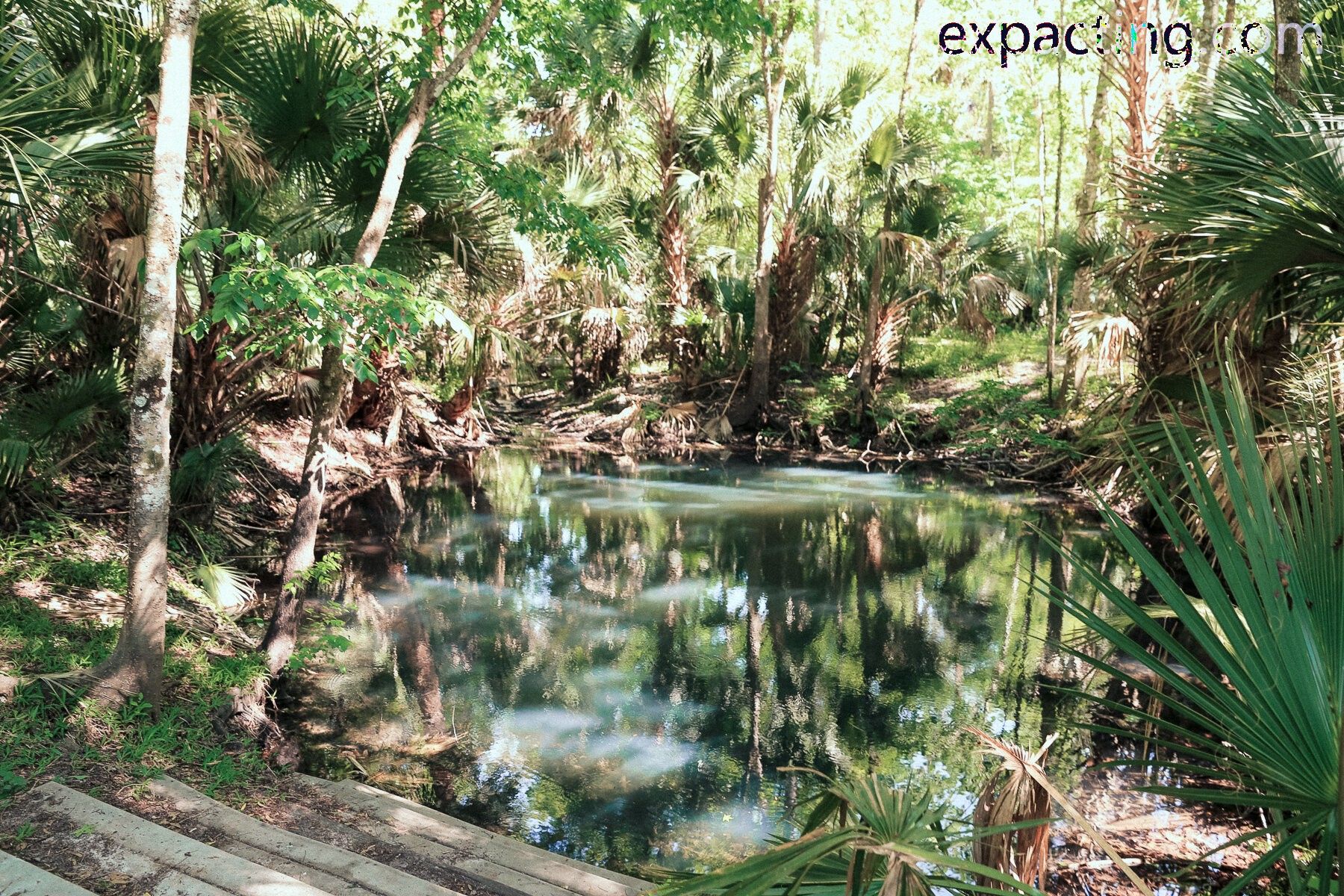 Best Trails and Hikes in Orlando, Florida preview