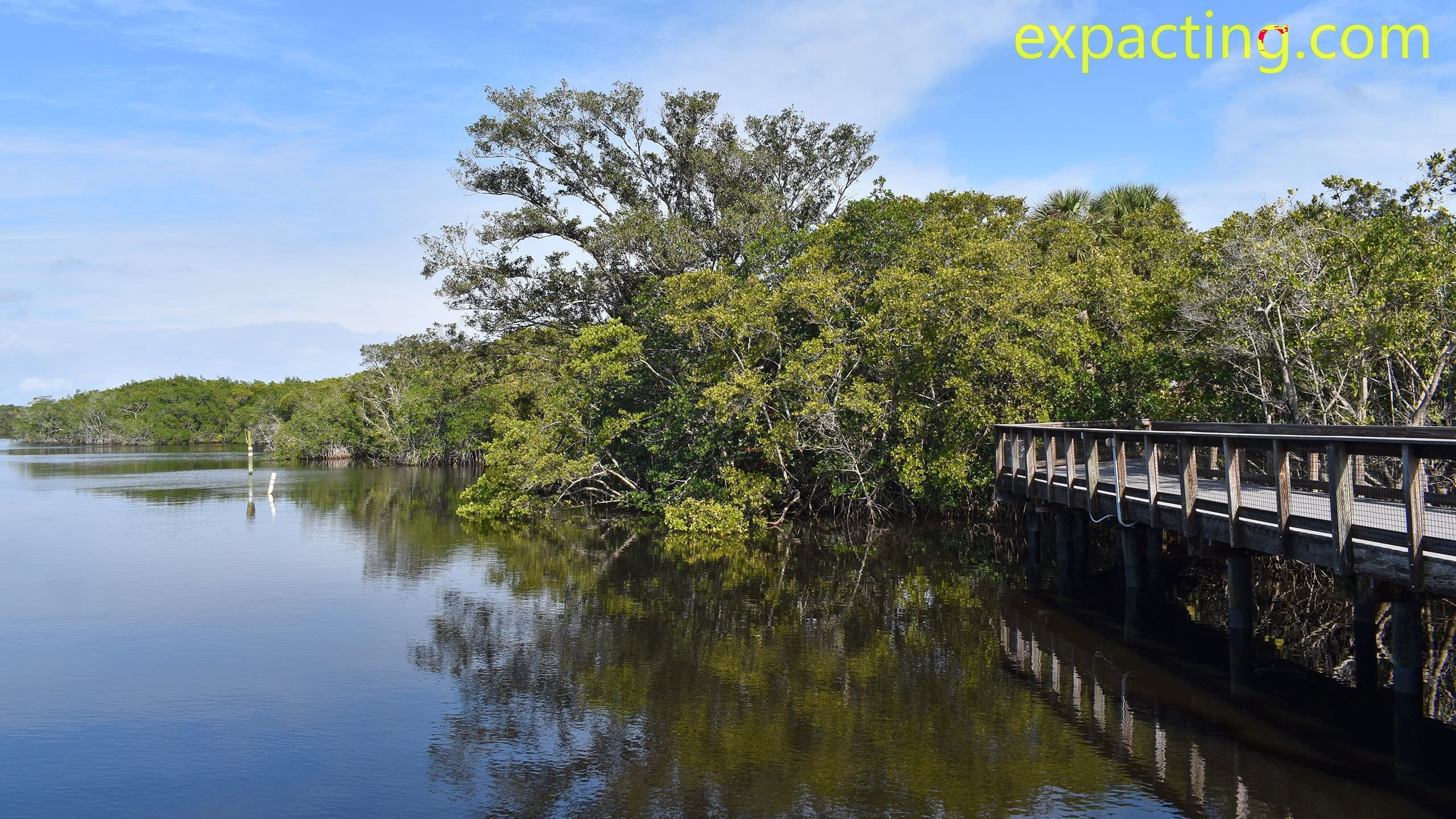Best Trails and Hikes in Port St. Lucie, Florida preview