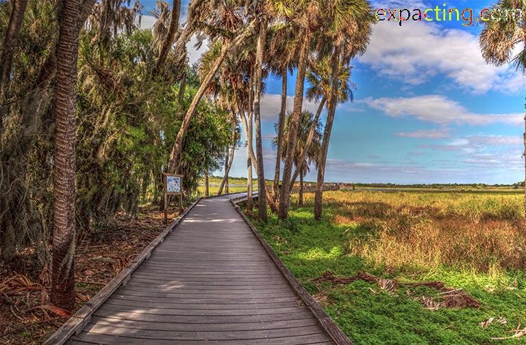 Best Trails and Hikes in Sarasota, Florida preview