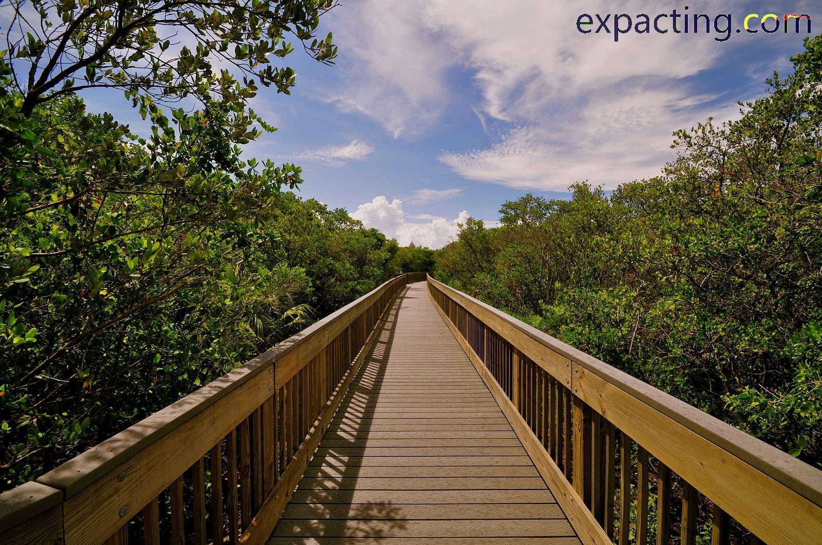 Best Trails and Hikes in St. Petersburg, Florida preview