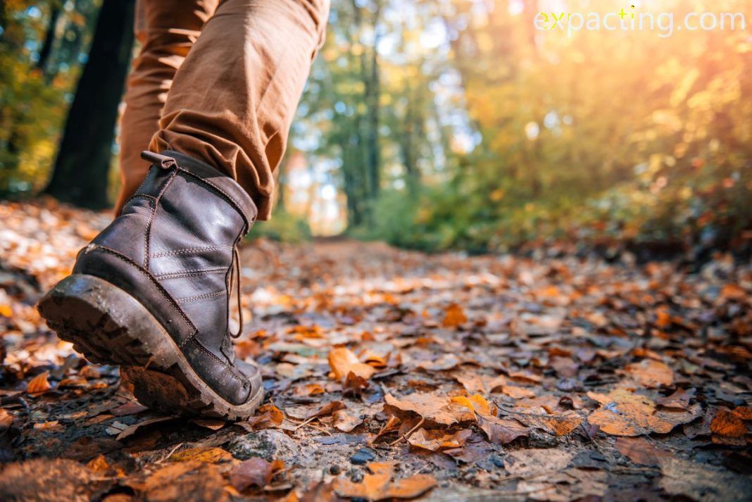 Best Trails and Hikes in Westchester, Florida preview