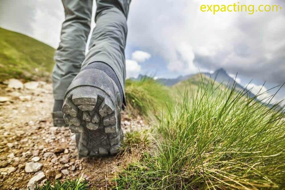 Best Trails and Hikes in Bonita Springs, Florida preview