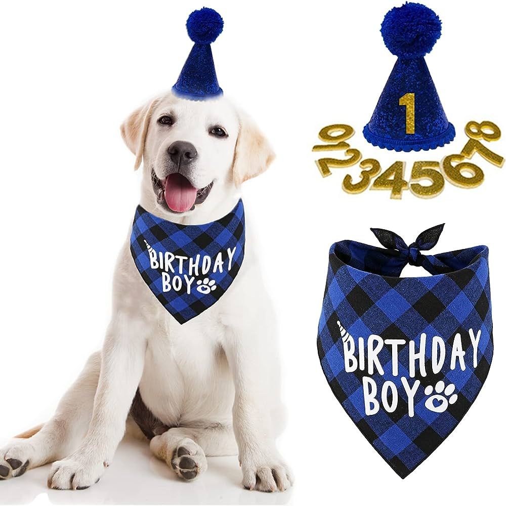 Birthday Boy Dog Bandanas preview