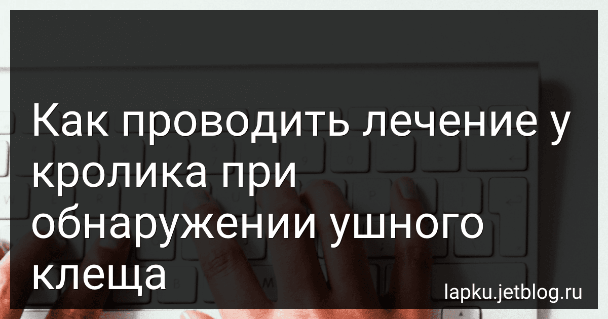 Как проводить лечение у кролика при обнаружении ушного клеща image
