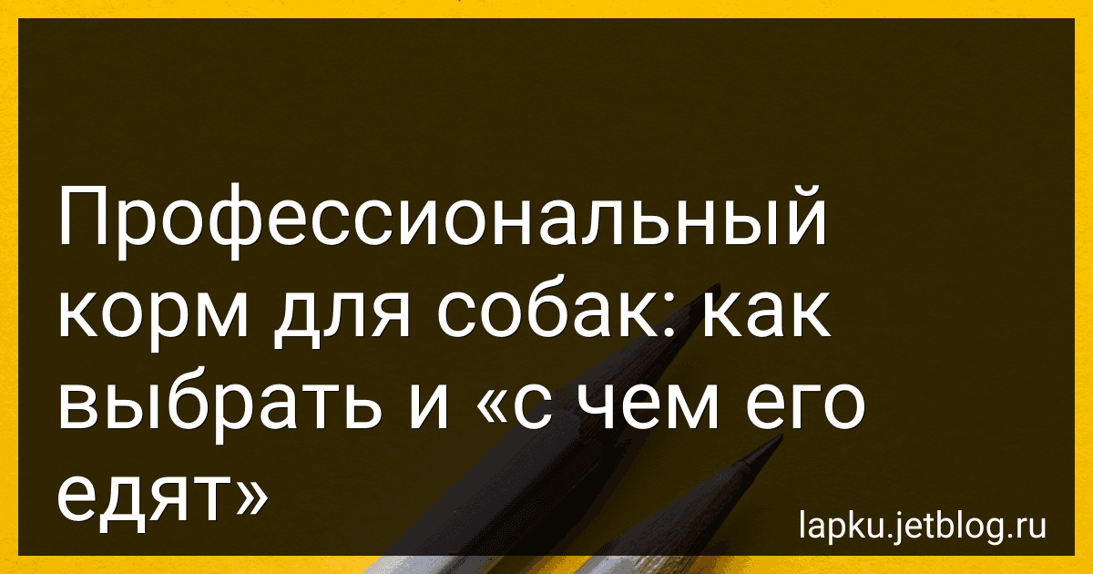 Профессиональный корм для собак: как выбрать и «с чем его едят» preview