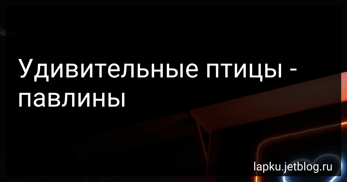 Удивительные птицы - павлины image