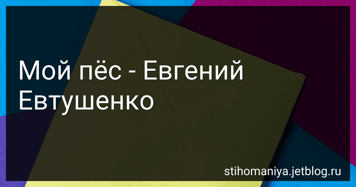 Мой пёс - Евгений Евтушенко preview