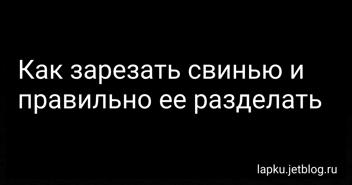 Как зарезать свинью и правильно ее разделать image