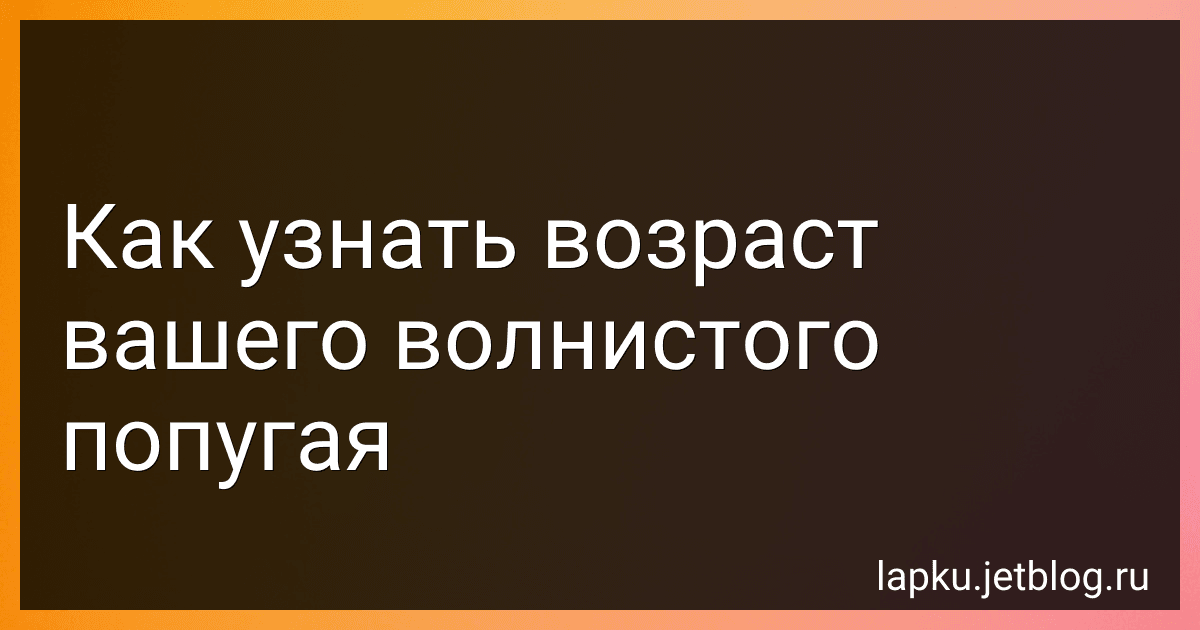 Как узнать возраст вашего волнистого попугая image
