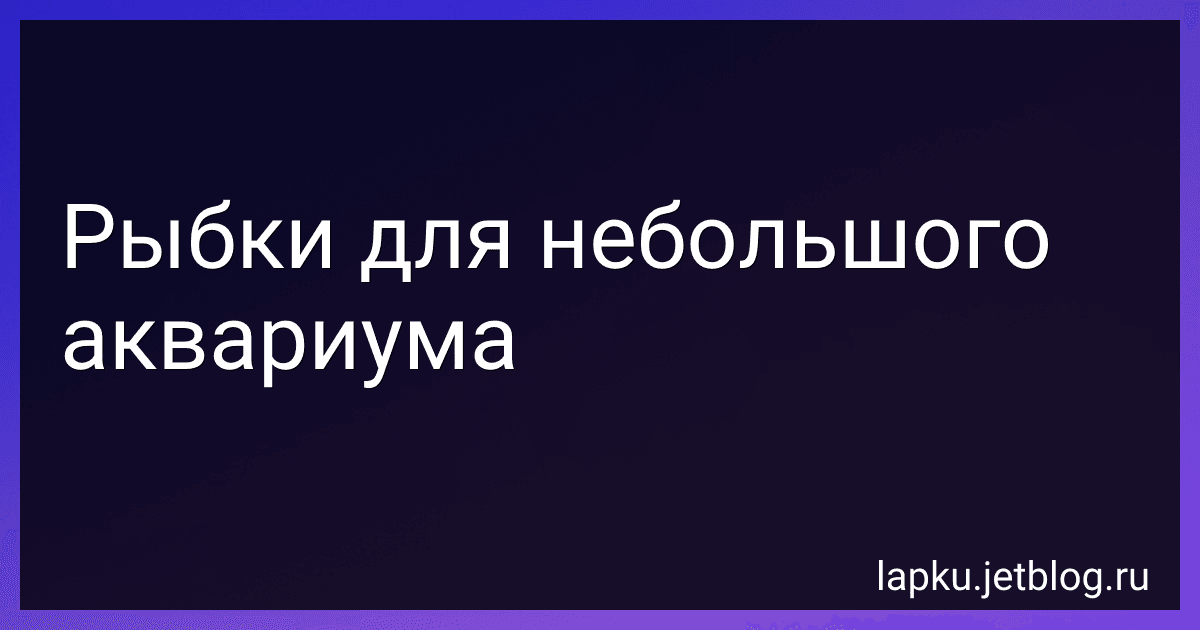 Рыбки для небольшого аквариума preview