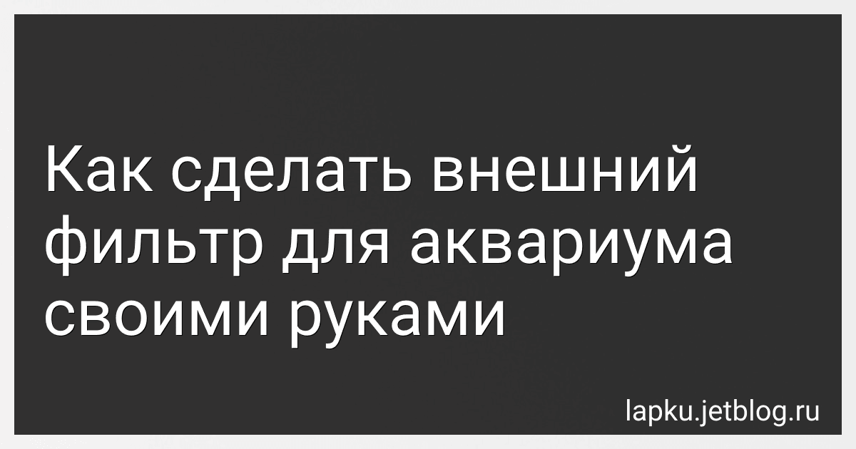 Как сделать внешний фильтр для аквариума своими руками preview