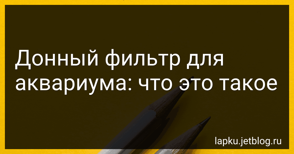 Донный фильтр для аквариума: что это такое preview