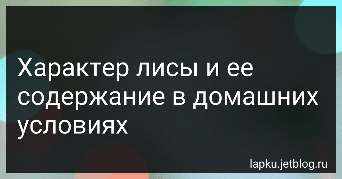 Характер лисы и ее содержание в домашних условиях image
