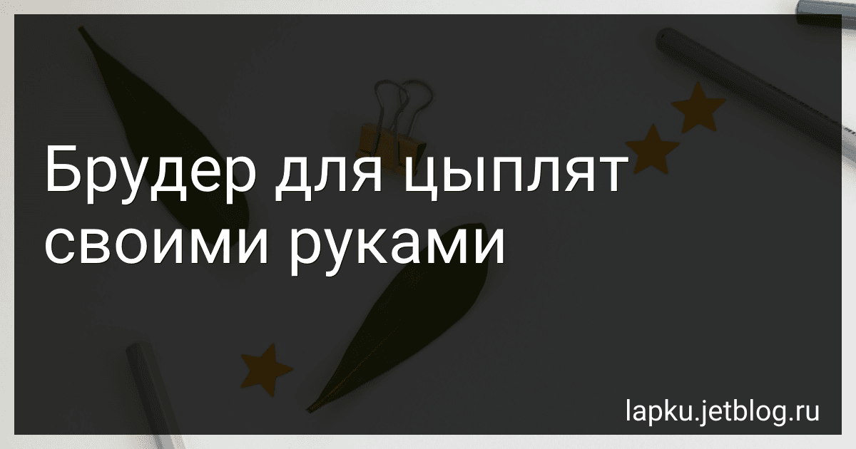 Брудер для цыплят своими руками image