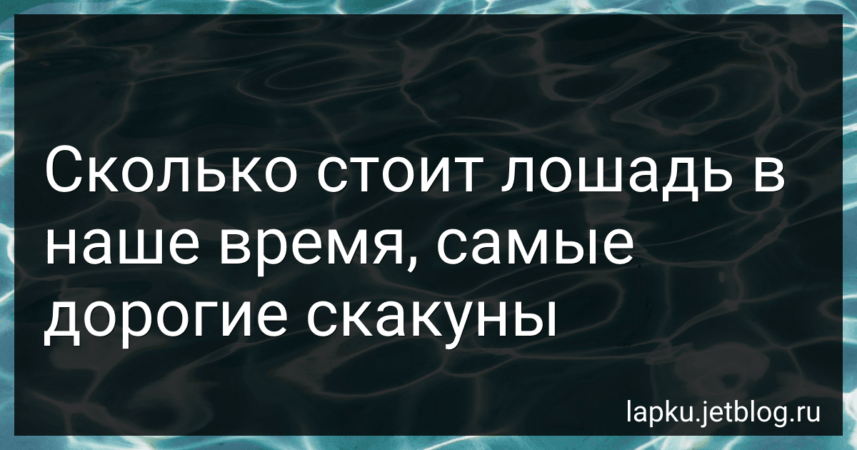 Сколько стоит лошадь в наше время, самые дорогие скакуны image