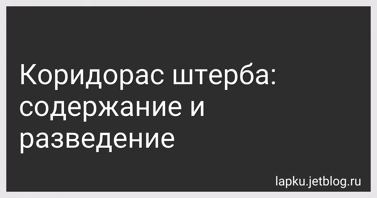 Коридорас штерба: содержание и разведение image