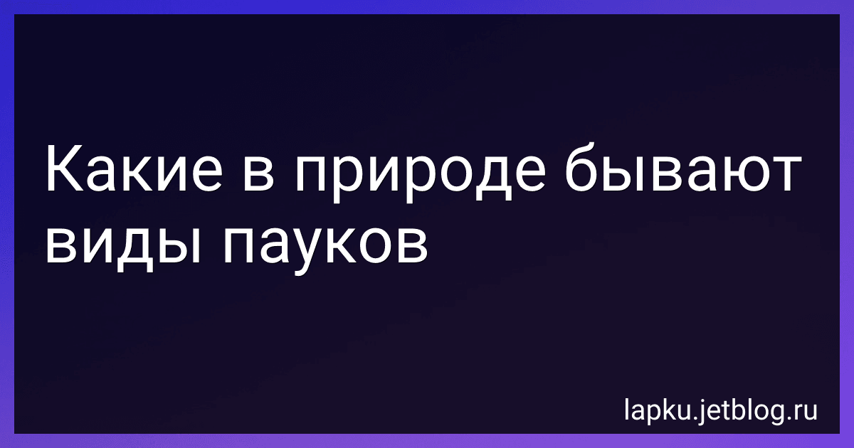 Какие в природе бывают виды пауков image
