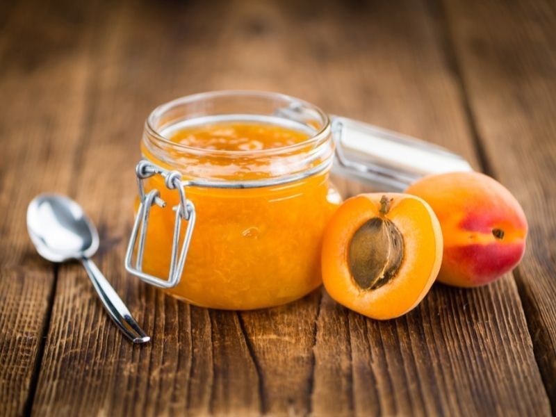 Can Dogs Eat Apricot Jelly? image
