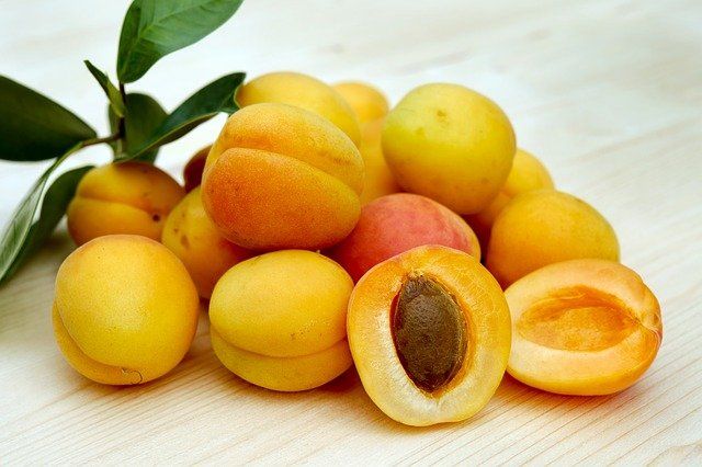 Can Dogs Eat Soft Apricots? image