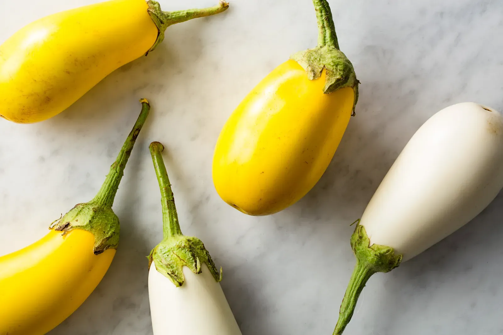 Can Dogs Eat Yellow Eggplant? preview