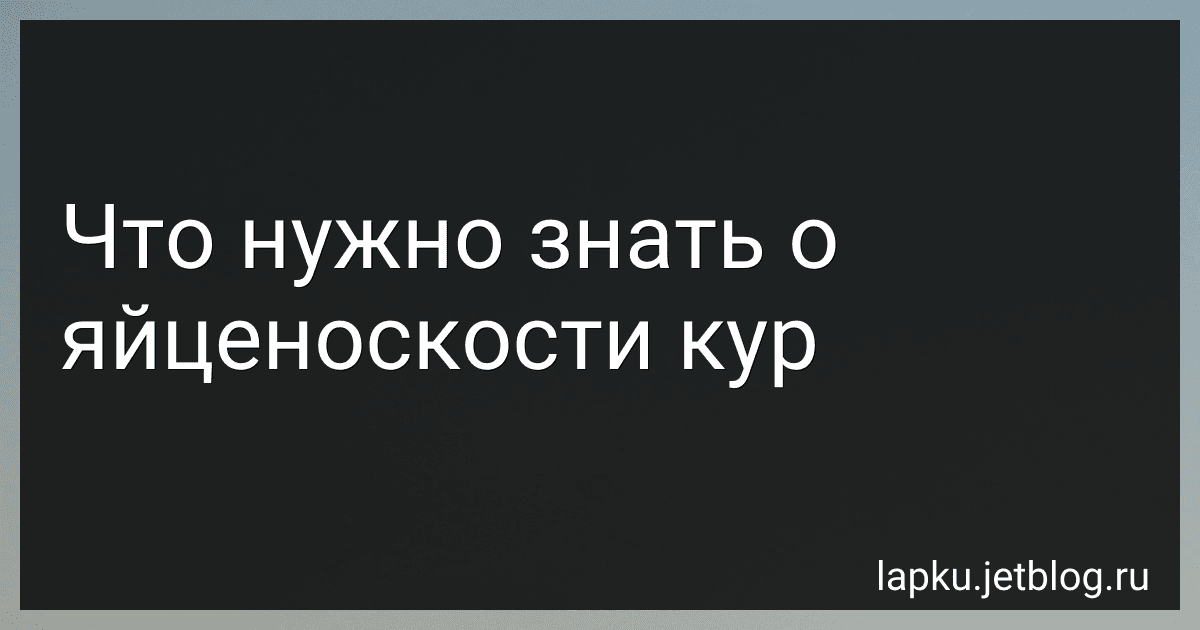 Что нужно знать о яйценоскости кур image