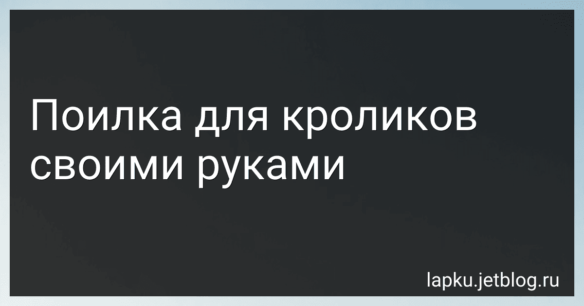 Поилка для кроликов своими руками image