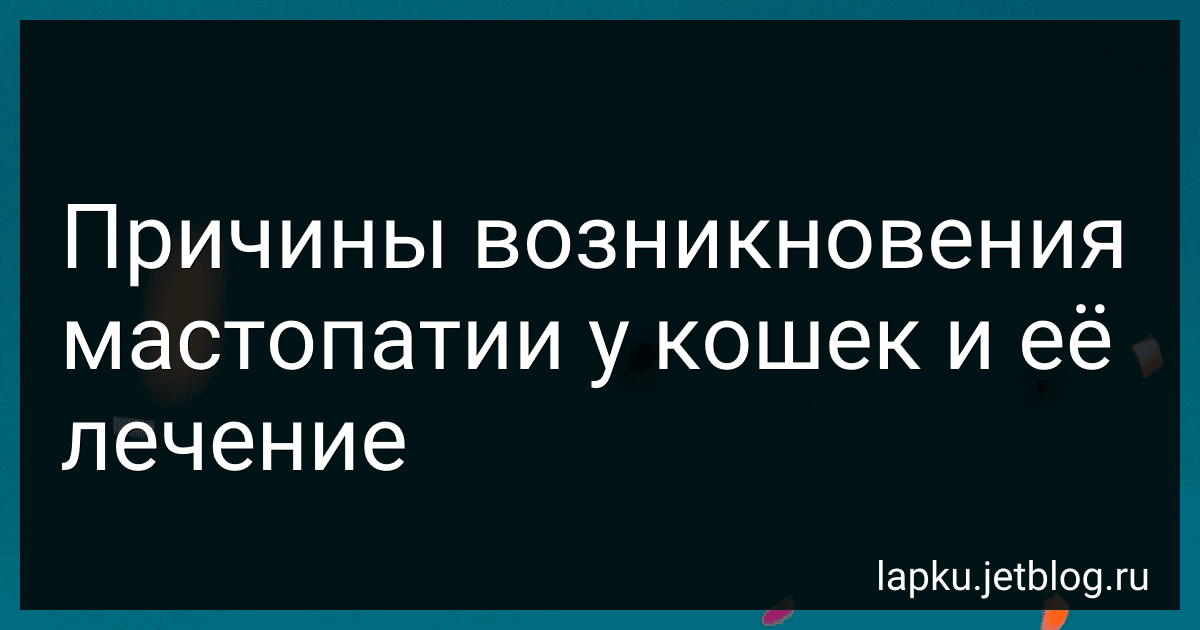 Причины возникновения мастопатии у кошек и её лечение image