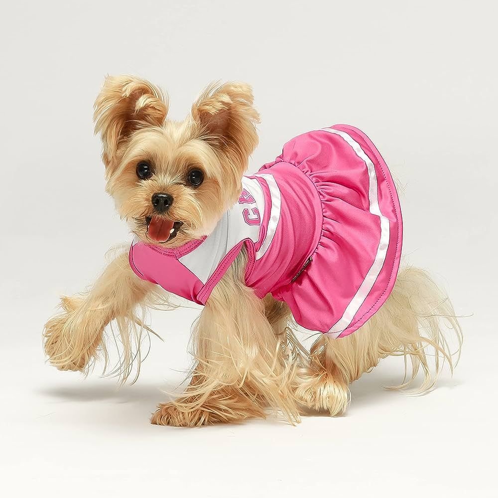 Cheerleader Costume for Dogs image