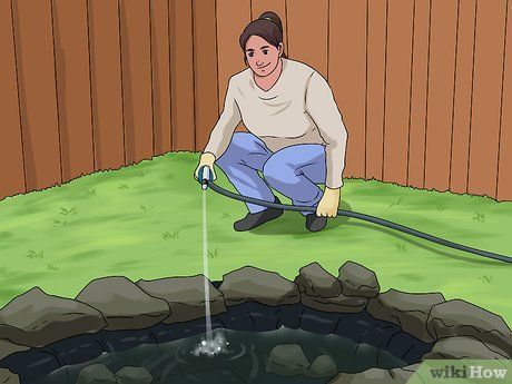 Choose Your Pond Builder Wisely image