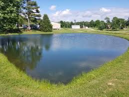Common Sense Guide to Purchasing Pond Equipment image
