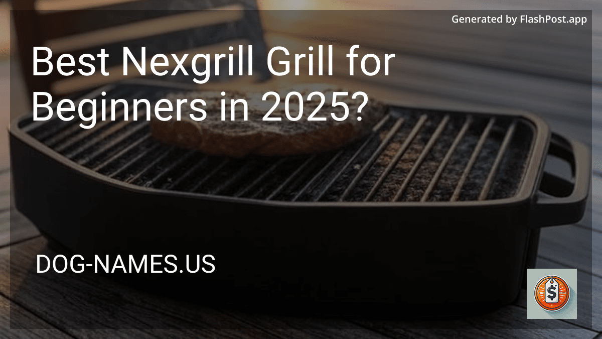 Best Nexgrill Grill for Beginners in 2025? preview