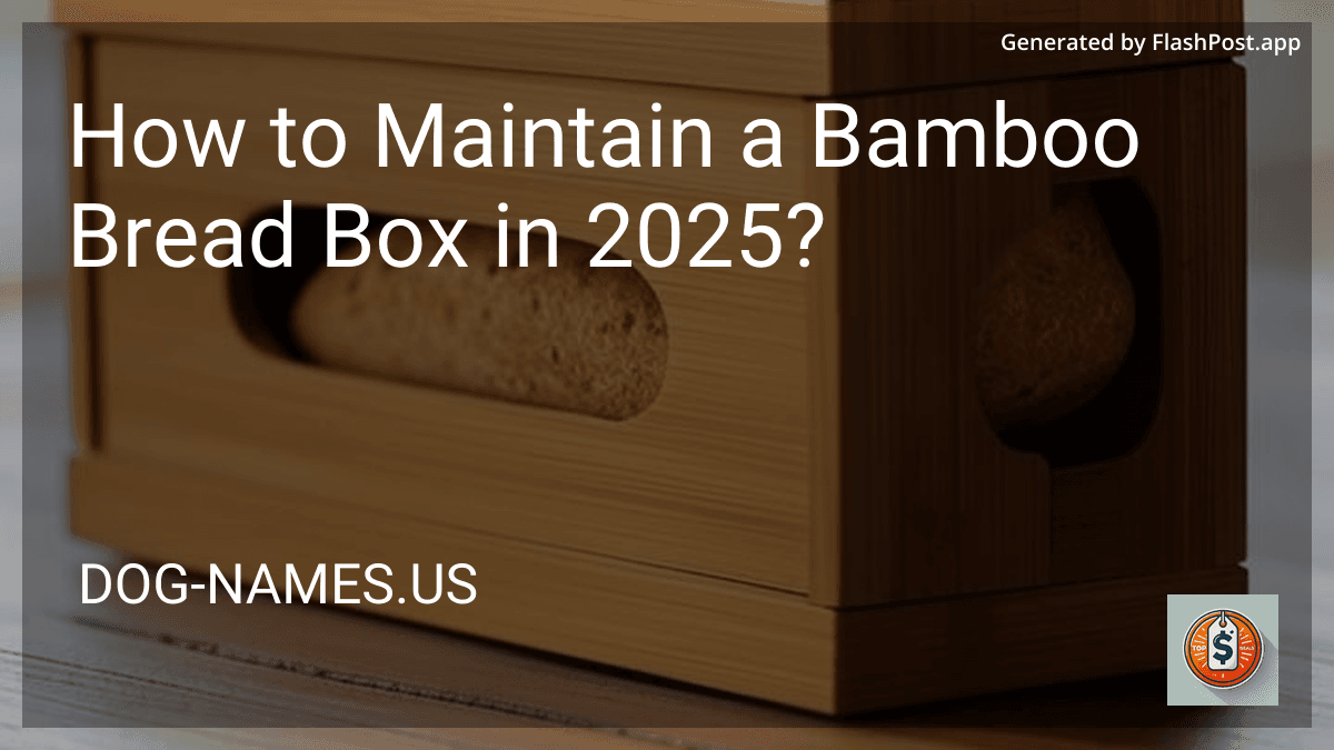 How to Maintain a Bamboo Bread Box in 2025? preview