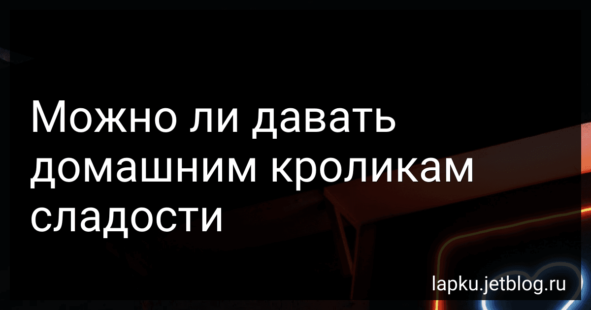 Можно ли давать домашним кроликам сладости image
