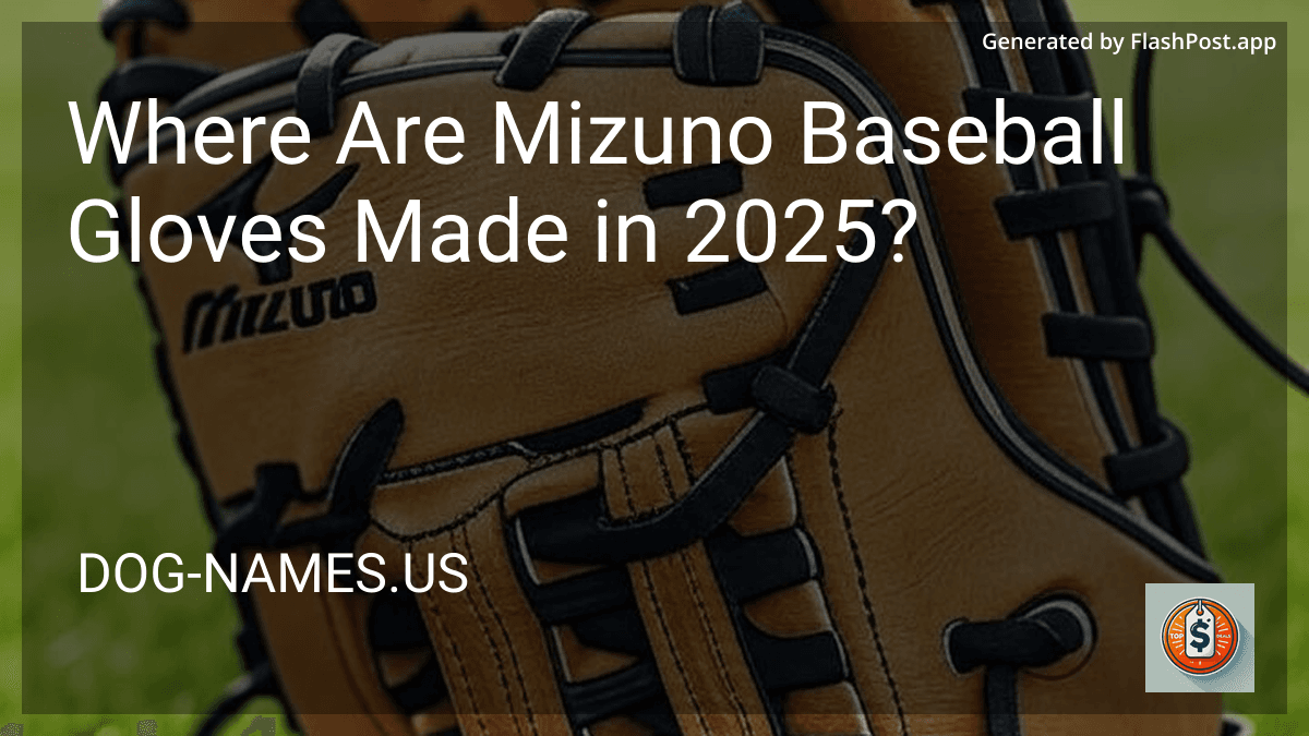Where Are Mizuno Baseball Gloves Made in 2025? preview
