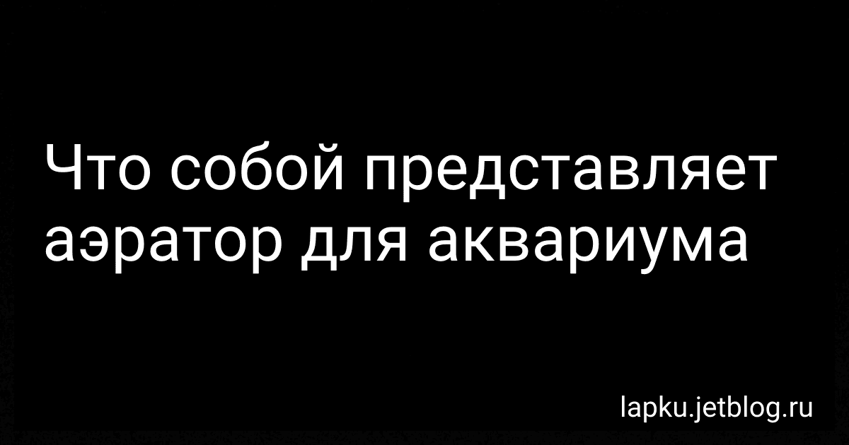 Что собой представляет аэратор для аквариума preview