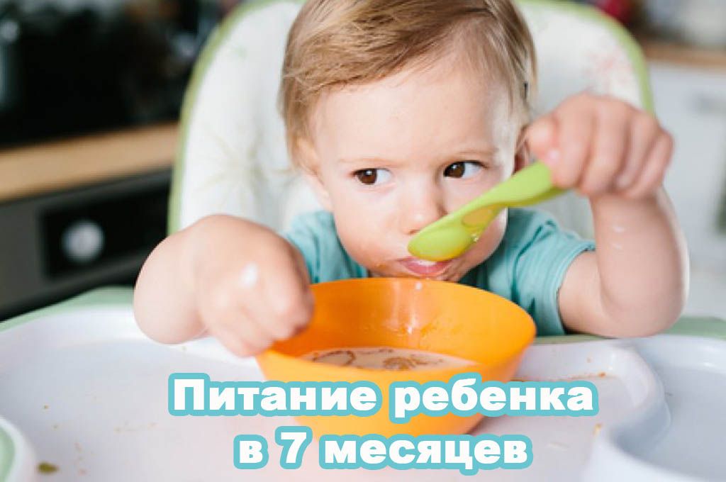 Питание ребенка в 7 месяцев image