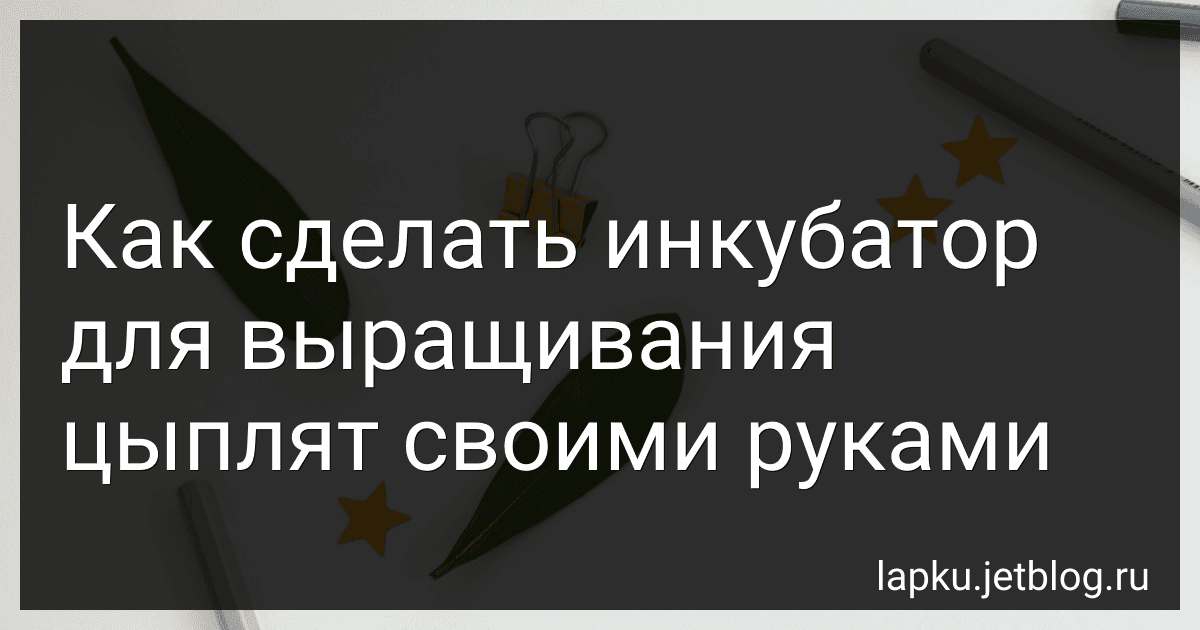 Как сделать инкубатор для выращивания цыплят своими руками image