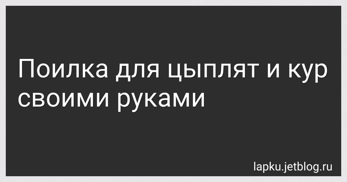 Поилка для цыплят и кур своими руками image