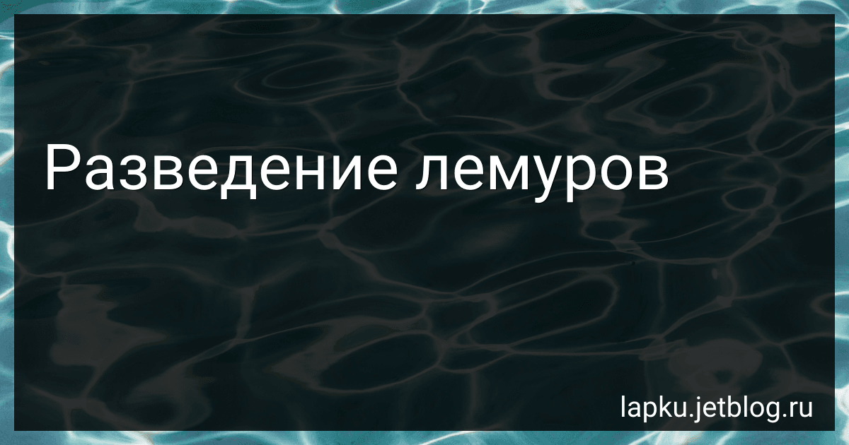 Разведение лемуров image