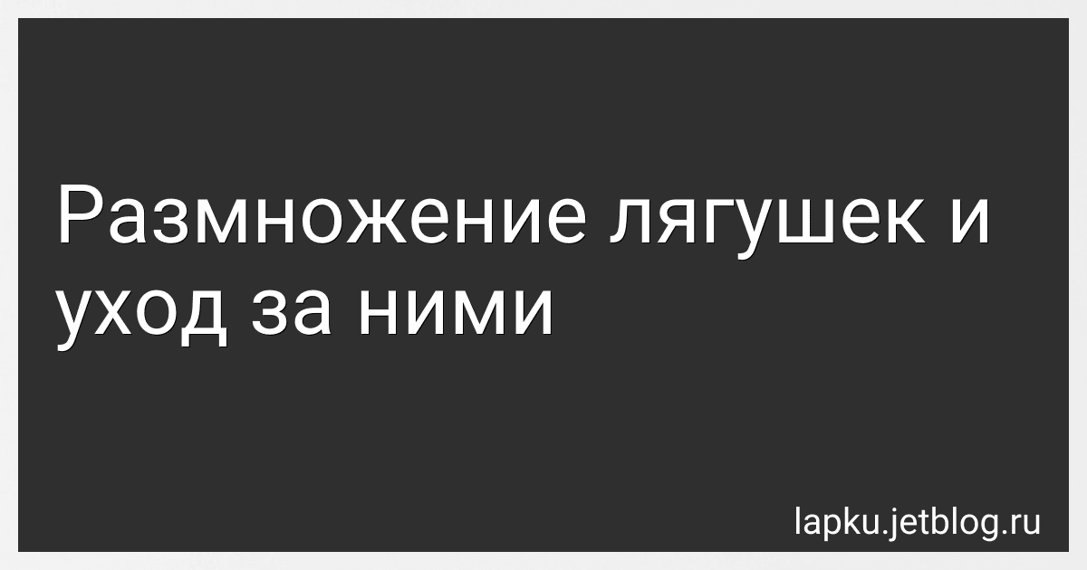 Размножение лягушек и уход за ними image