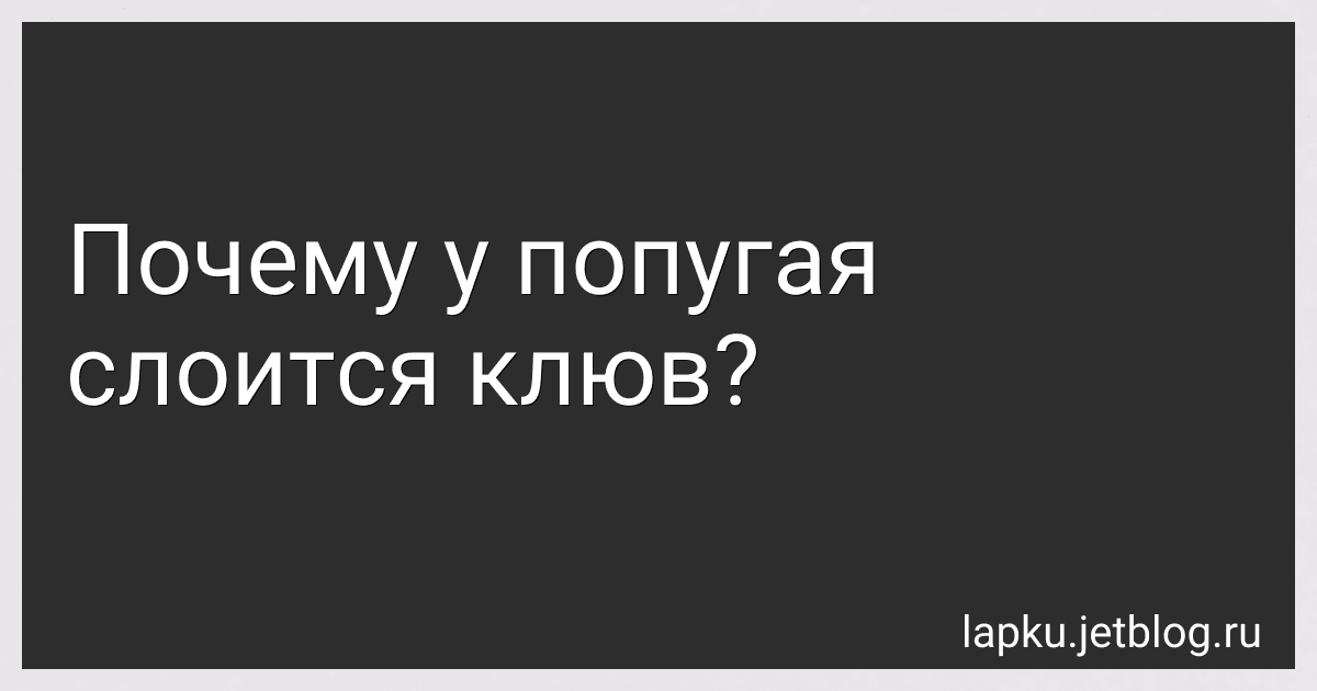 Почему у попугая слоится клюв? image