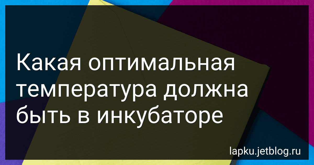 Какая оптимальная температура должна быть в инкубаторе image
