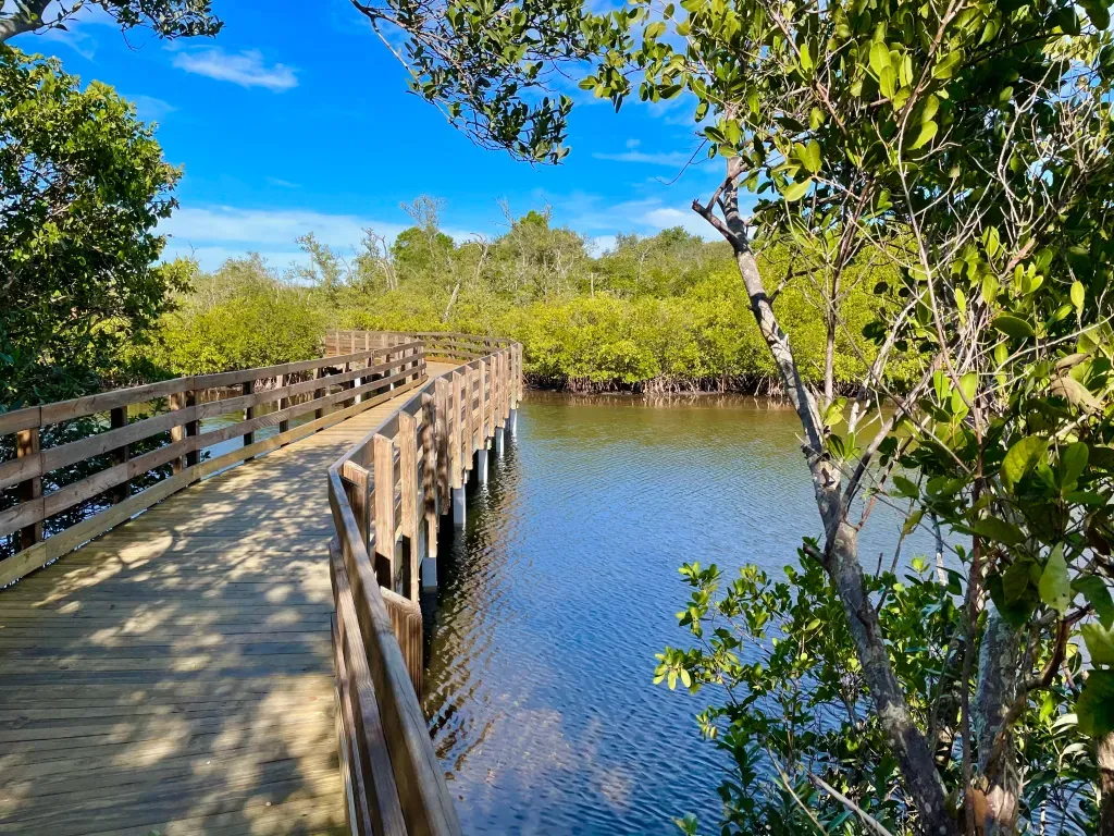 Discovering Emerson Point Preserve: A Treasure of Natural Beauty in Palmetto, Florida preview