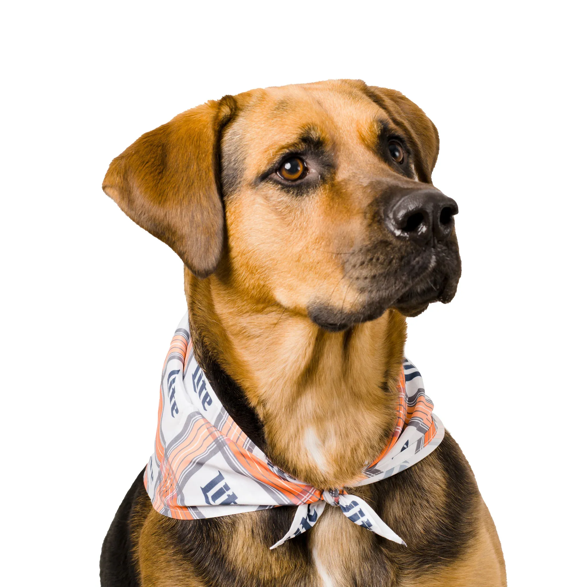 Dog Bandanas image