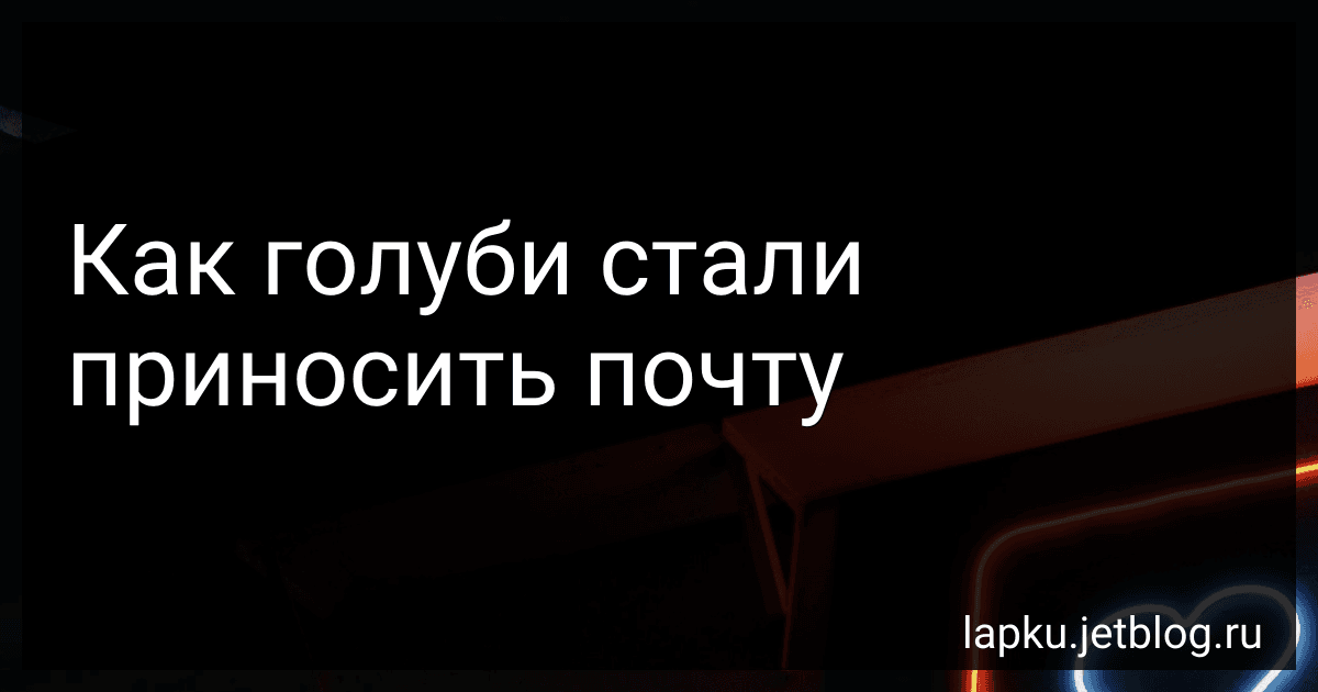 Как голуби стали приносить почту image