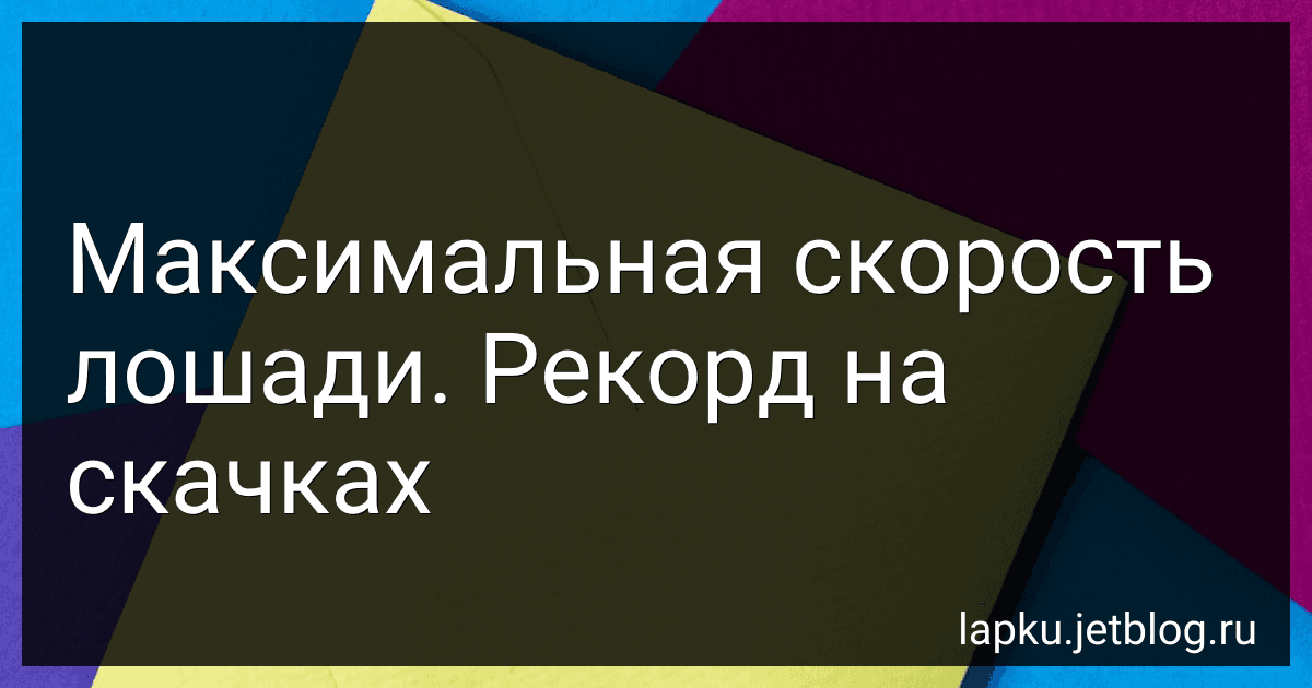 Максимальная скорость лошади. Рекорд на скачках image