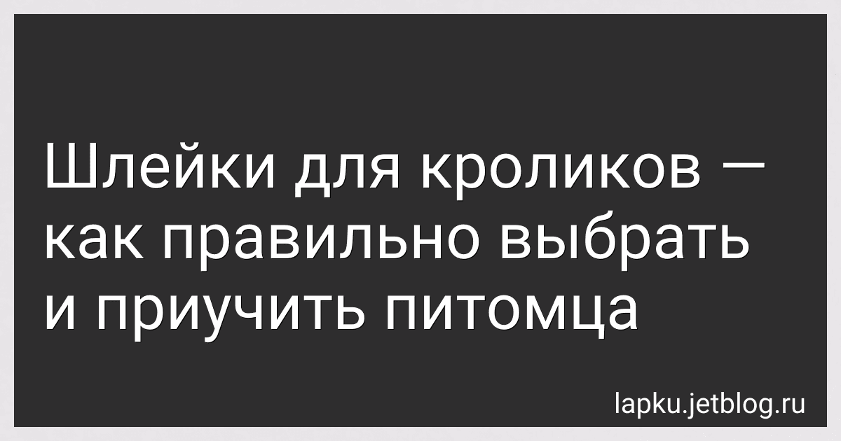 Шлейки для кроликов - как правильно выбрать и приучить питомца image